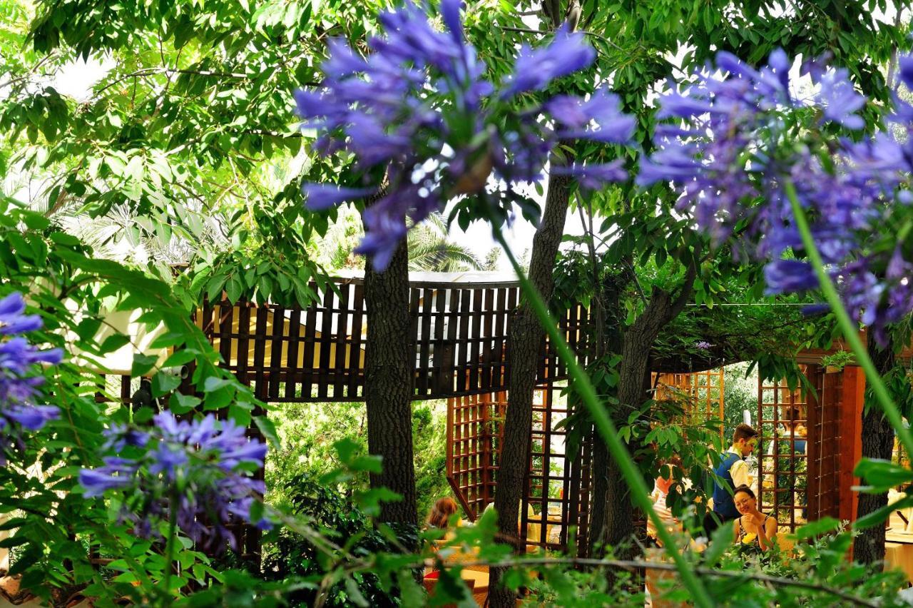 Alberi Del Paradiso Hotel Cefalu